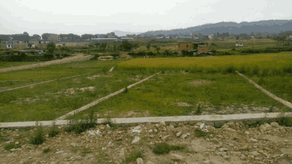 Can an NRN Legally Buy Land in Nepal? The Ultimate 2026 Step-by-Step Guide